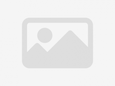 Firewood Processors
